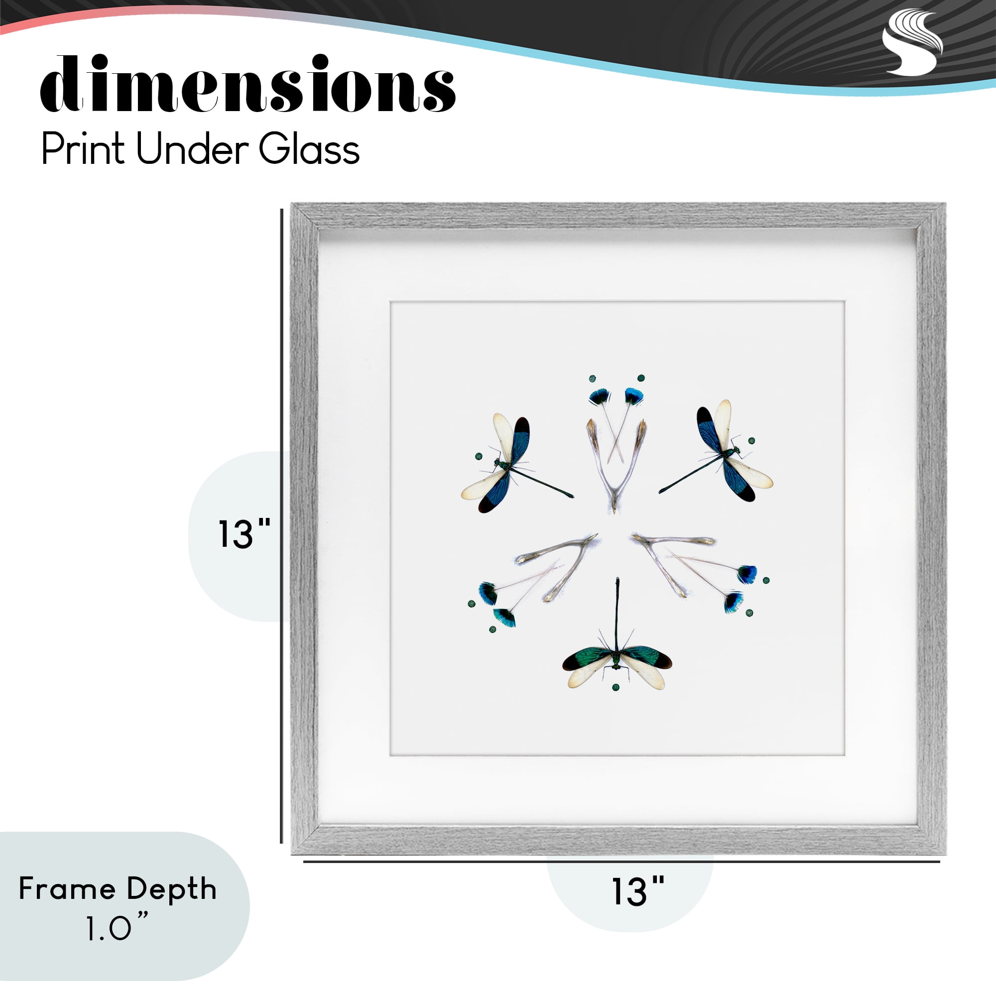 Stupell Industries Simple Dragonfly Symmetry Gray Framed Print Under Glass, design by Beth Adoette
