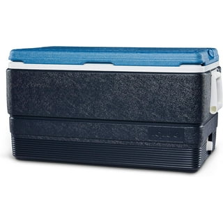 Igloo 44361 Maxcold Cooler 100-quart (icy Blue Igloo Maxcold 100