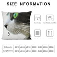 thumbnail image 6 of Acheng Black Cat Throw Pillow Covers Animal Sitting Cat Fun Lettering Watching Humans Pillowcase Pillow Shams Cushion Case Single Side Printing  2pcs White, 6 of 6