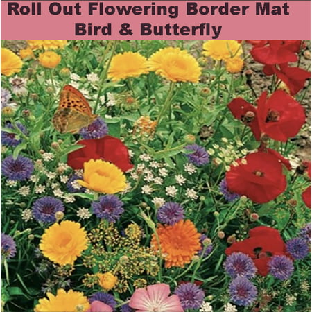Roll and Grow Flowering Border Mat-Bird & Butterfly -  (8 sq.