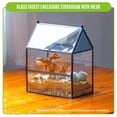 thumbnail image 6 of NCYP Glass Enclosure with Vent Holes for Jumping Spiders - 7.5" x 4.9" x 9", Small Closed Front Opening Terrarium,  Home Decor Black (No Plants), 6 of 10