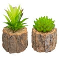 thumbnail image 1 of 2Pcs Lovely Simulation Succulents Mini Potted Bonsai Artificial Plant Decor, 1 of 9