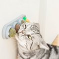 thumbnail image 4 of Mint Pumpkin Cat Toy Catnip Edible Licking Ball Natural Nealth Rotatable Kitten Chewing Tooth Cleaning Toy, 4 of 6
