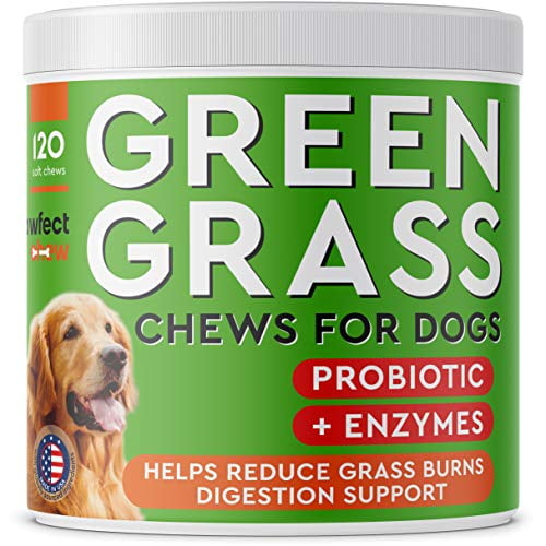 PAWFECTCHEW Dog Pee Grass Saver Grass Treatment for Dog Urine Dog