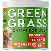 PAWFECTCHEW Dog Pee Grass Saver - Grass Treatment for Dog Urine - Dog Urine Neutralizer for Grass Burn Spots - Dog Pee Lawn Repair Treats with Probiotics - Made in USA - 120 Chews