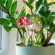 thumbnail image 5 of Maceta 3D con flores para enchufar | Diseño infantil | Minijardín de musgo con suculentas | Resina resistente al agua y al óxido | Uso en interiores y exteriores | Adorno para el hogar y la oficina, 5 of 5
