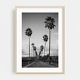 thumbnail image 2 of Palm Row in Black-and-White - California Photography Black and White Palm Tree Nature Landscape Tropical Minimalist Scenic Unframed Wall Art Print 40 x 60 inches, 2 of 60