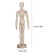 thumbnail image 3 of Maniquí de Madera Flexible Ecomeon Articulado de 12.99 Pulgadas para Dibujar, 3 of 6