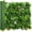 Green a, variant on Artificial Grass Wall Panels Backdrop: 40"x40" (10.8 sqft) UV-Anti New Bottom Plate Greenery Boxwood Panels for Indoor Outdoor Green Wall Decor & Ivy Fence Covering Privacy