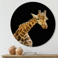 thumbnail image 2 of Designart 'Portrait of A Giraffe On Black Background II' Farmhouse Circle Metal Wall Art 11x11 - Disc of 11, 2 of 5