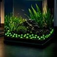 thumbnail image 1 of 40 piezas de piedras decorativas luminiscentes para acuario con formas de estrellas de mar brillantes, adornos fluorescentes para pecera, resina segura, para paisajismo DIY y temas submarinos., 1 of 6