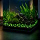 thumbnail image 1 of 40 piezas de piedras decorativas luminiscentes para acuario con formas de estrellas de mar brillantes, adornos fluorescentes para pecera, resina segura, para paisajismo DIY y temas submarinos., 1 of 6