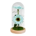 thumbnail image 1 of Regalos de girasol en cúpula de cristal, girasol artificial en cúpula de cristal, lámpara de noche Estilo E, 1 of 9