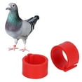 thumbnail image 4 of Pigeons Outil de Formation 200Pcs Rouge Volaille Jambe Clip Anneau Pigeons Identifier Aucun Mot Marquage Anneau Outil de Formation8mm Rouge Aucun Mot Anneau, 4 of 8