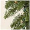 thumbnail image 3 of Vickerman 50' Camdon Fir Artificial Christmas Garland, Unlit - Faux Large Christmas Wreath - Seasonal Indoor Commercial Decor, 3 of 3
