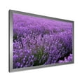 thumbnail image 2 of Designart 'Blooming Purple Lavender Meadow' Farmhouse Framed Art Print, 2 of 4