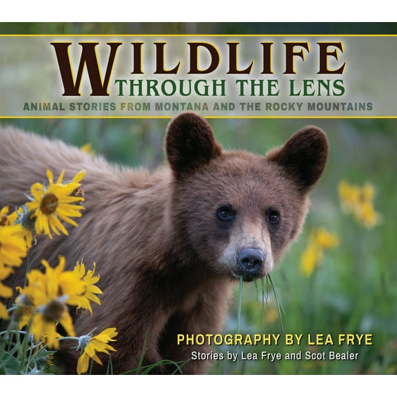 Wildlife Through the Lens: Animal Stories from Montana and the Rocky Mountains, (Paperback)