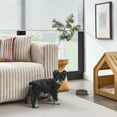 thumbnail image 4 of Sam's Pets Monty Puffer Jacket In Black / Size :Medium - Medium, 4 of 5