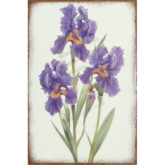 Charming Tin Sign with Purple Iris Rustic Tin Sign, Floral Wall Art, Chic Shabby Vintage Metal Wall Decor for Farmhouse Inspired Look, Home & Office Wall Decor 12x16 inches