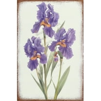 Charming Tin Sign with Purple Iris Rustic Tin Sign, Floral Wall Art, Chic Shabby Vintage Metal Wall Decor for Farmhouse Inspired Look, Home & Office Wall Decor 12x16 inches