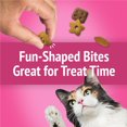 thumbnail image 2 of Purina Friskies Party Mix Régal Californien Croquant Gâteries pour Chats 170g, 2 of 9