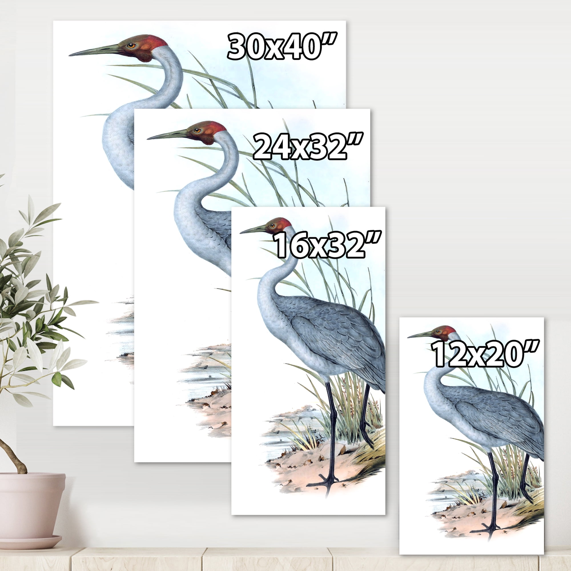 Designart ' Ancient Australian Birds V ' Traditional Canvas Wall Art Print