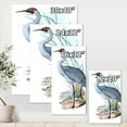 thumbnail image 4 of Designart ' Ancient Australian Birds V ' Traditional Canvas Wall Art Print, 4 of 4