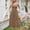 Khaki, variant on Summer Plus Size Dresses for Women 2026 Fashion Casual Round-Neck Solid Sleeveless Mid Calf Dress