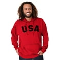 thumbnail image 4 of United States of America USA Patriot Unisex Plus Fleece Graphic Hoodie Brisco Brands 4X, 4 of 6
