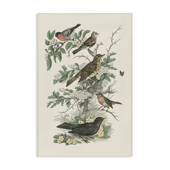 Stupell Industries Victorian Honeybloom Birds Perched Canvas Art, 16 x 24, by Wild Apple Portfolio