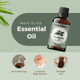 thumbnail image 4 of 100% Organic Eucalyptus Essential Oil, Relaxing and Calming Essential Oil for Home Diffuser by White Naturals, 4 of 7