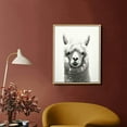 thumbnail image 2 of JEUXUS  Sylvie Alpaca Black and White Portrait Framed Canvas Wall Art, 2 of 4