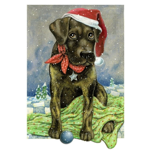 Designocracy Flurries Fetch Fun Santa Dog by Laura Seeley Pets Decor, Set of 2, Multi
