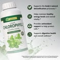 thumbnail image 6 of Vida Herbal - Liquid Chlorophyll 1 Lt Herbal Supplement - Natural Energy Boost and Internal Deodorant, 6 of 6