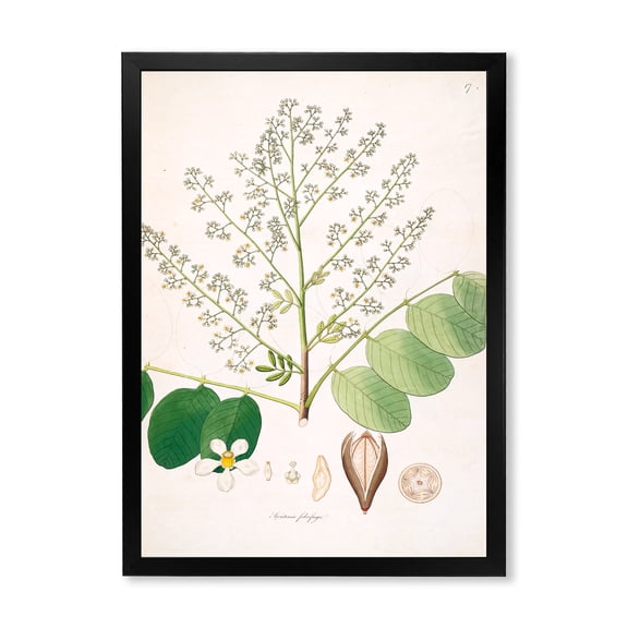 Designart 'Ancient Botanicals XVI' Farmhouse Framed Art Print