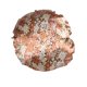 thumbnail image 1 of Gorro para el pelo de ala ancha, bufanda para la cabeza de baño, gorro para dormir, gorro suave a la moda, turbantes, cubierta para la cabeza, envolturas para el cabello para mujeres que duermen Beige sidaley AP008211-04, 1 of 6