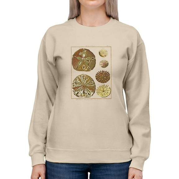 Sand Dollars Iii Sweatshirt Women -Denis Diderot Designs, Female 5X-Large