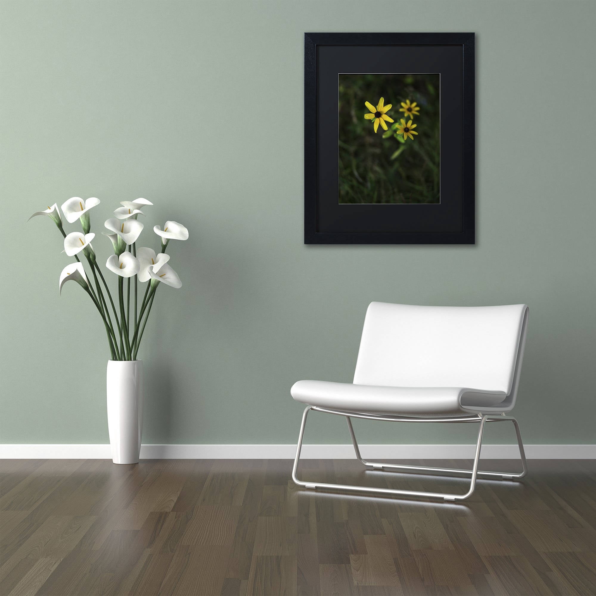 Trademark Fine Art "Brown-Eyed Susan" Canvas Art by Kurt Shaffer, Black Matte, Black Frame