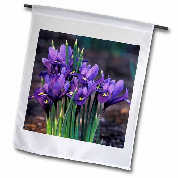 3dRose, Iris flower - NA01 LKL0003 - Lee Klopfer, 12 x 18 inch Garden Flag