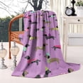 thumbnail image 2 of Cute Cartoon Dachshund Blanket,Comfortable Soft Flannel Throw Blanket,All Season,Warm Lightweight Blankets for Sofa Bed Couch Living Room Chair,40"x50", 2 of 4