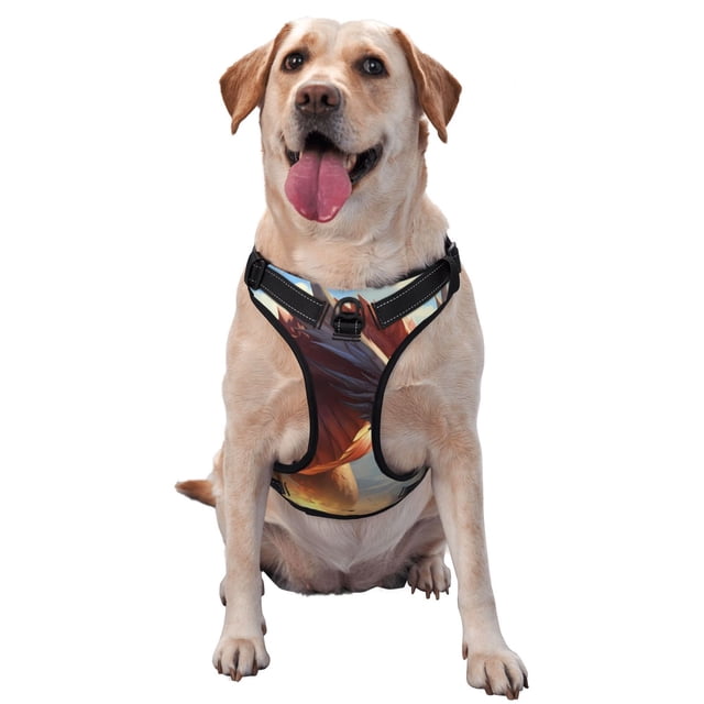 Balery Ferocious Dragon Fury Arnés para Perros Grandes Antitirones, Arnés con Correa para Gato, Arnés Tipo Chaleco para Perros Pequeños-Large