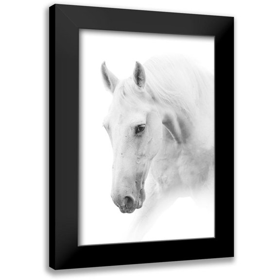 Itina, Marina 11x14 Black Modern Framed Museum Art Print Titled - White Horse on White