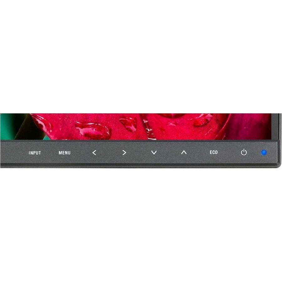 Sharp MultiSync DD-EA242W 24" Class WUXGA LED Monitor - 16:10 - Black - 24" Viewable - In-plane Switching (IPS) Technology - LED Backlight - 1920 x 1200 - 16.7 Million Colors - 300 Nit - 6 ms - 62 ...