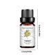 thumbnail image 3 of Hot6sl Ofertas de La Semana Paracetamol Alivia 10 Ml Cajeput, 3 of 7