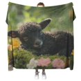 thumbnail image 2 of Black Lamb Sleeping on Moss Surrounded by Spring Flowers Fleece Sherpa Blanket ("60x80", Fleece), 2 of 6