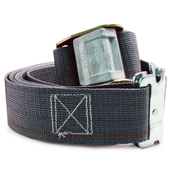 Kinedyne Logistic Cam Buckle Strap,16ftx2In,835lb 651601GRA
