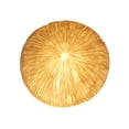 thumbnail image 1 of Things2Die4 Lámpara de acento de arte costero decorativo de coral de hongo de imitación blanco Things2Die4 69112, 1 of 4