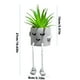 thumbnail image 3 of Plantas suculentas en maceta Plantas suculentas artificiales Plantas en maceta Wmkox8yii fhajkh57, 3 of 3