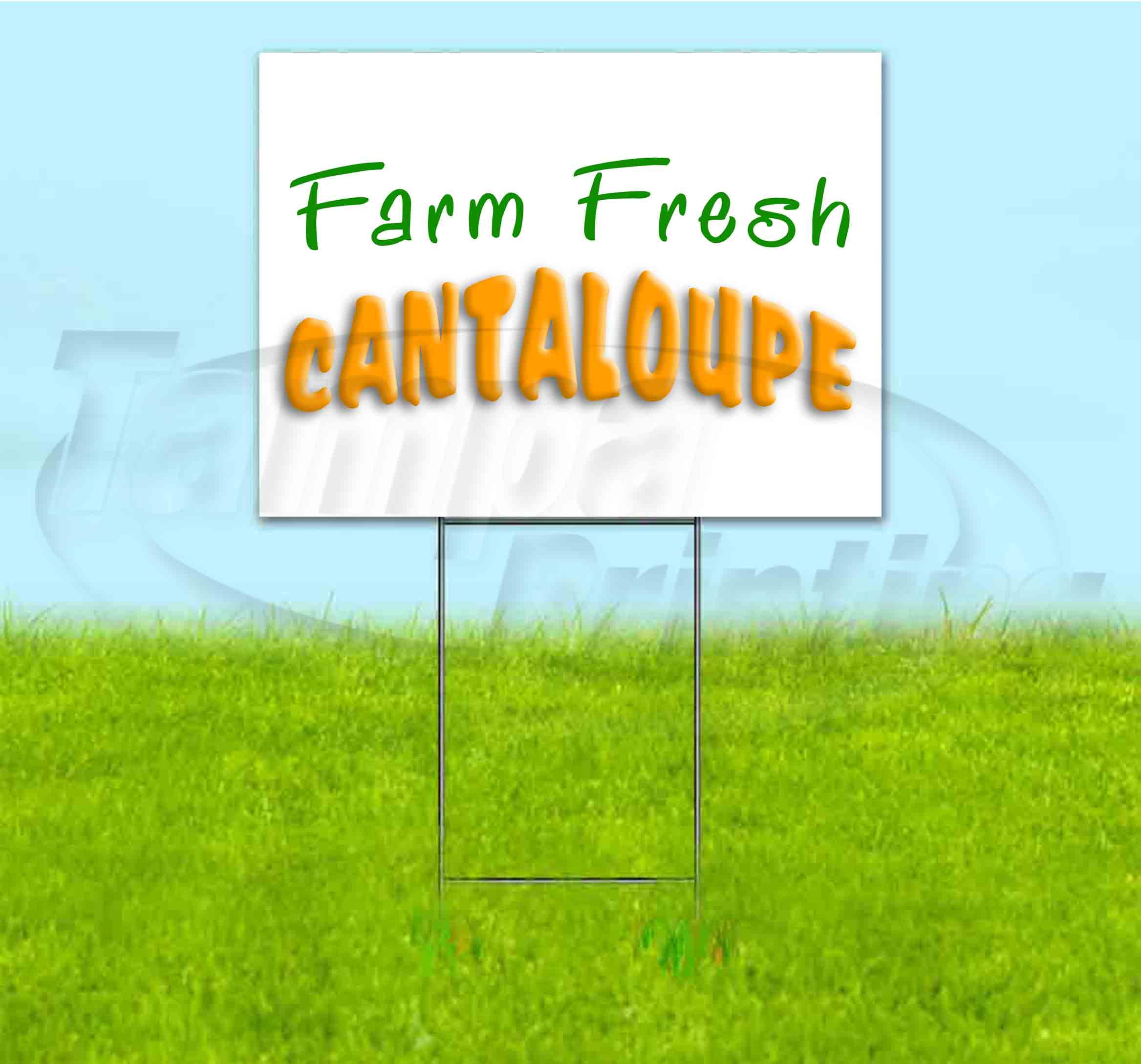 Farm Fresh Cantaloupe (18