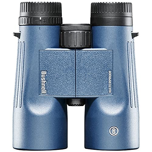 Prismáticos Bushnell Explorer 10x42 con prisma de techo impermeable